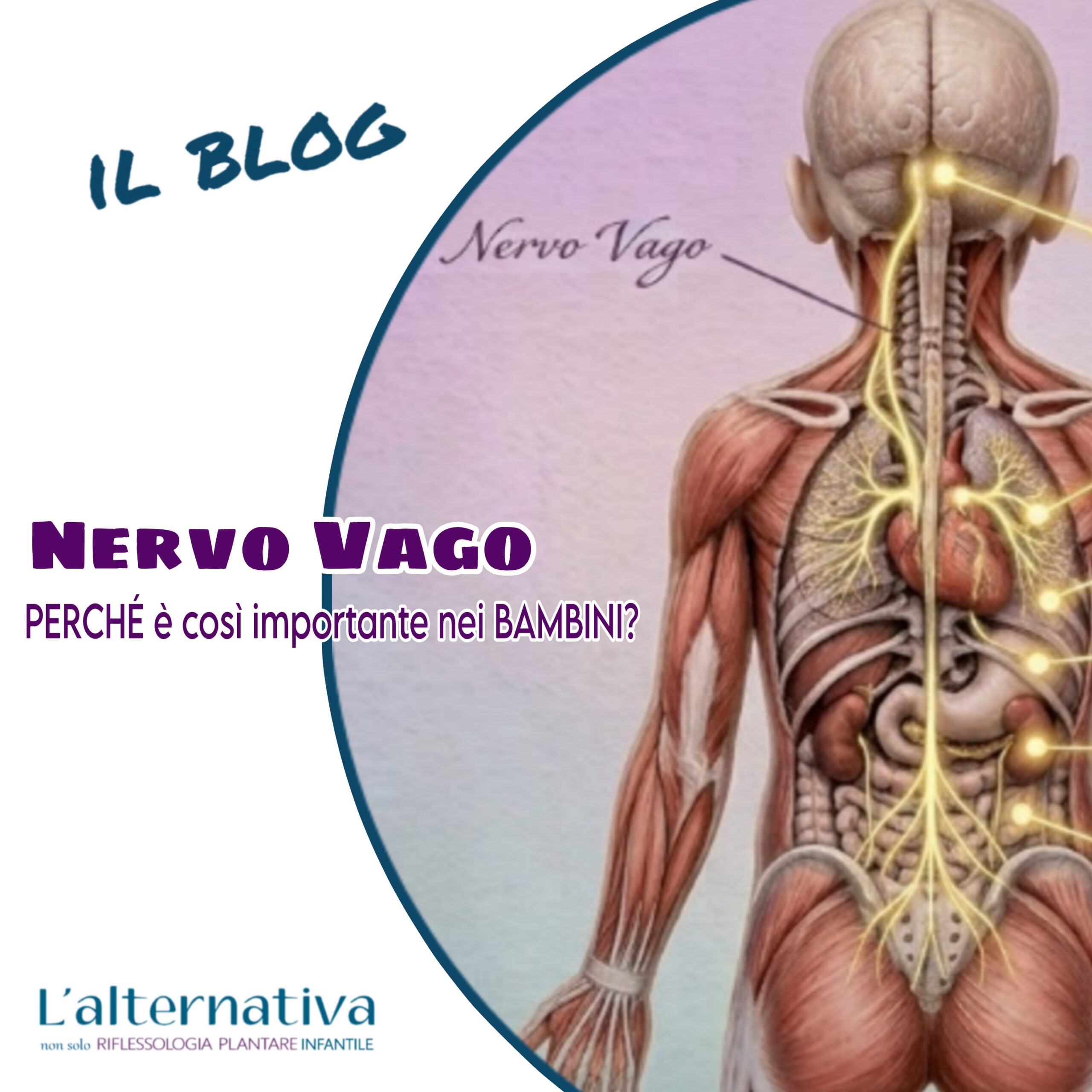 nervo vago